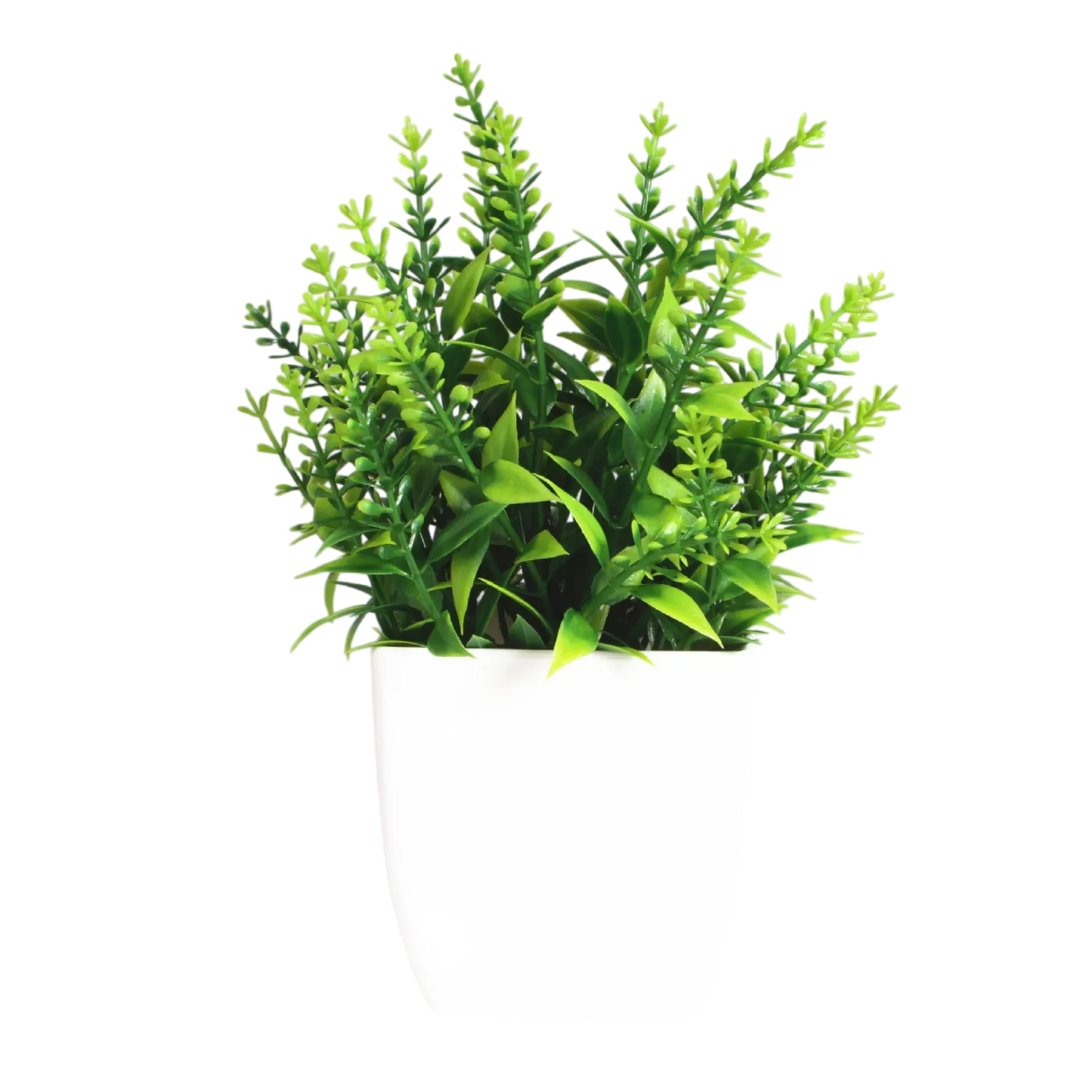 Decorative Plants Smal plant 11 VibeSpace