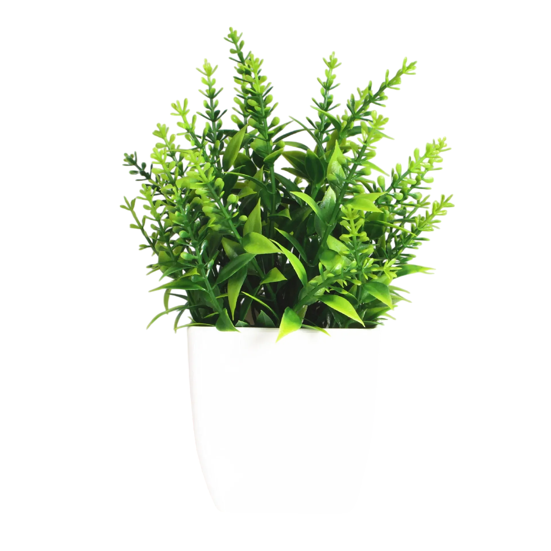 Decorative Plants Smal plant 11 VibeSpace