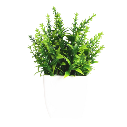Decorative Plants Smal plant 11 VibeSpace