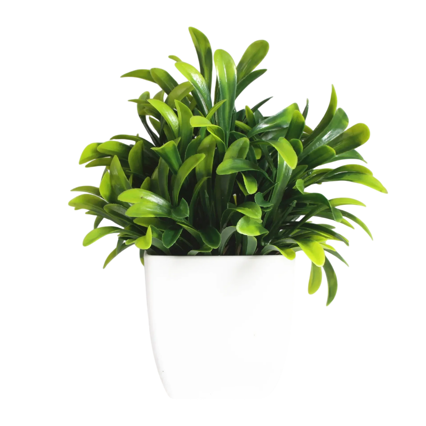 Decorative Plants Smal plant 7 VibeSpace