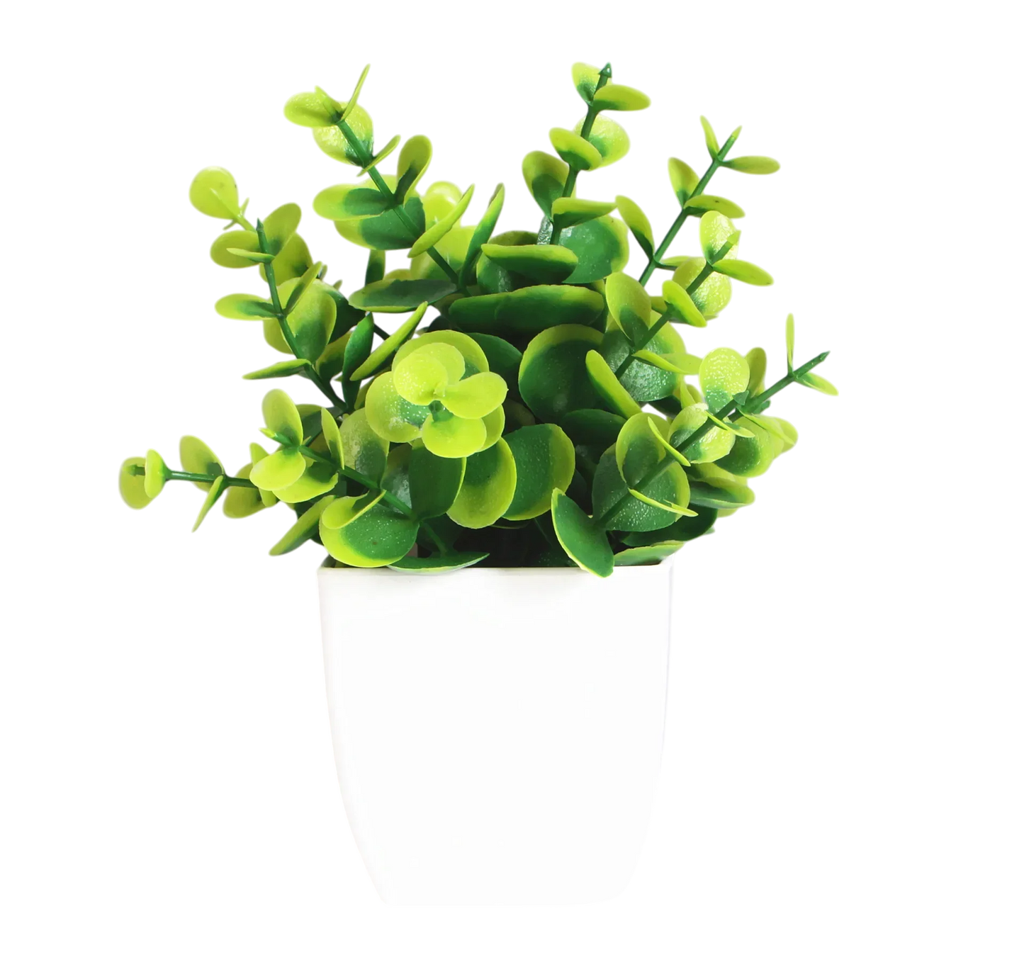Decorative Plants Smal plant 2 VibeSpace