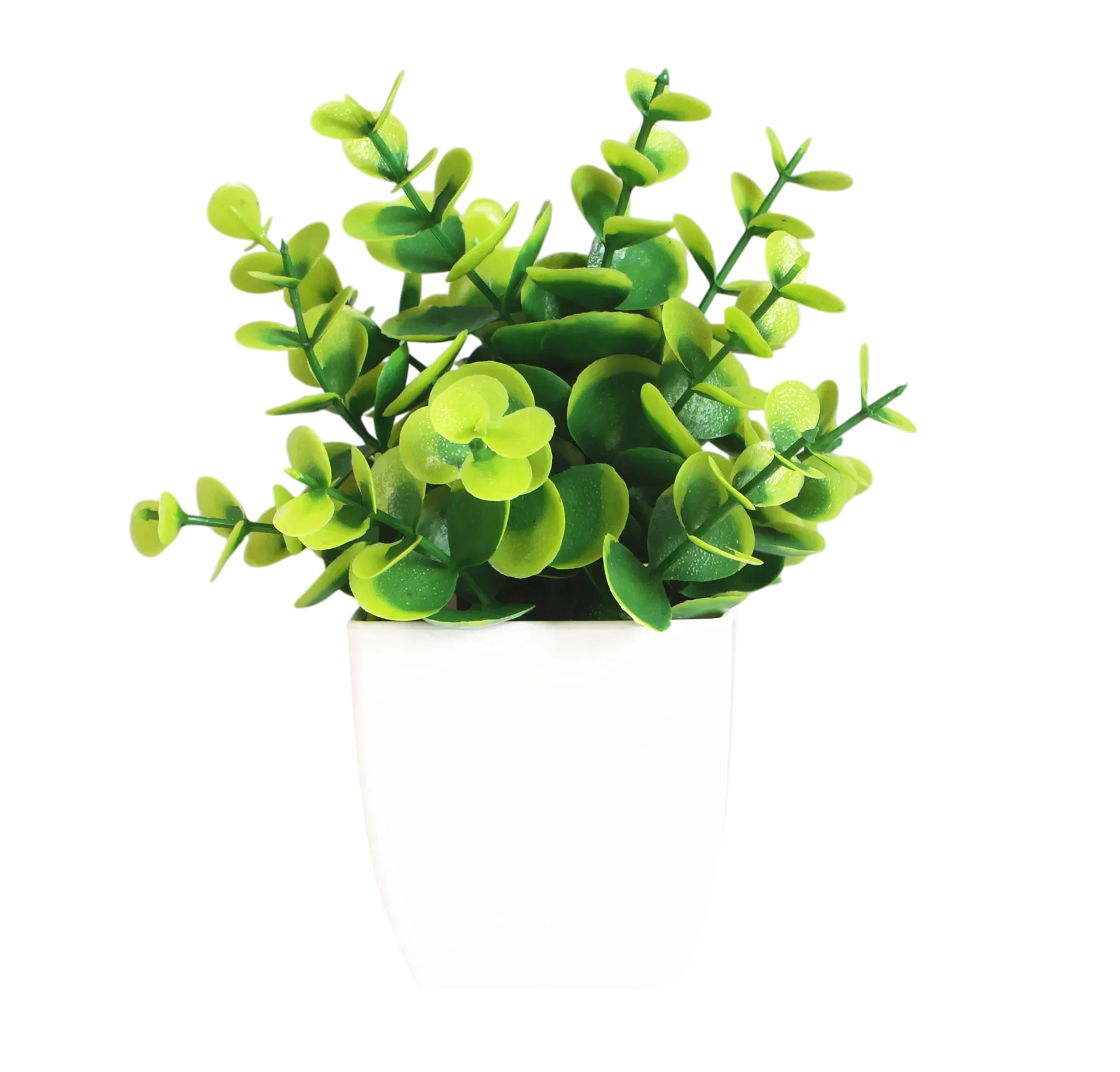 Decorative Plants Smal plant 2 VibeSpace