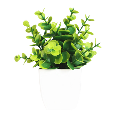 Decorative Plants Smal plant 2 VibeSpace