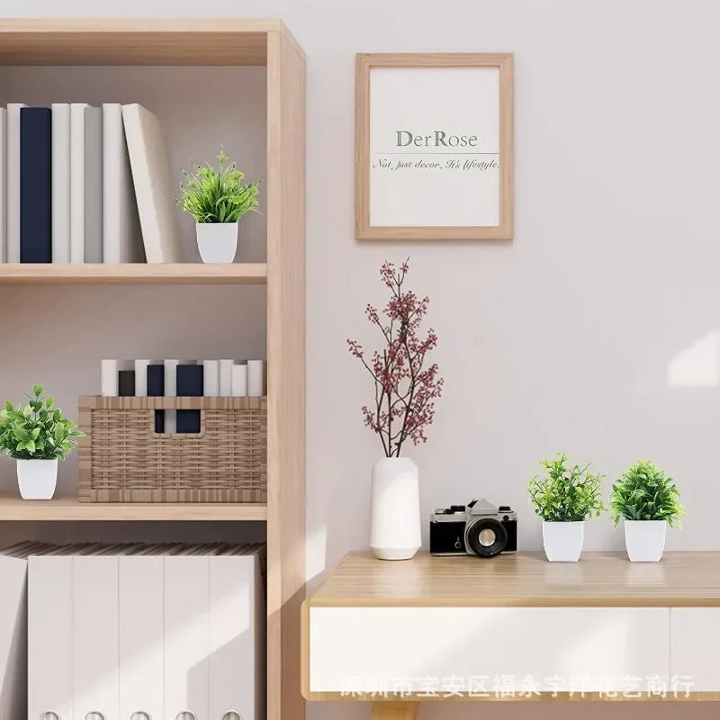 Decorative Plants VibeSpace