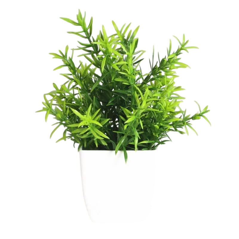 Decorative Plants Smal plant 9 VibeSpace