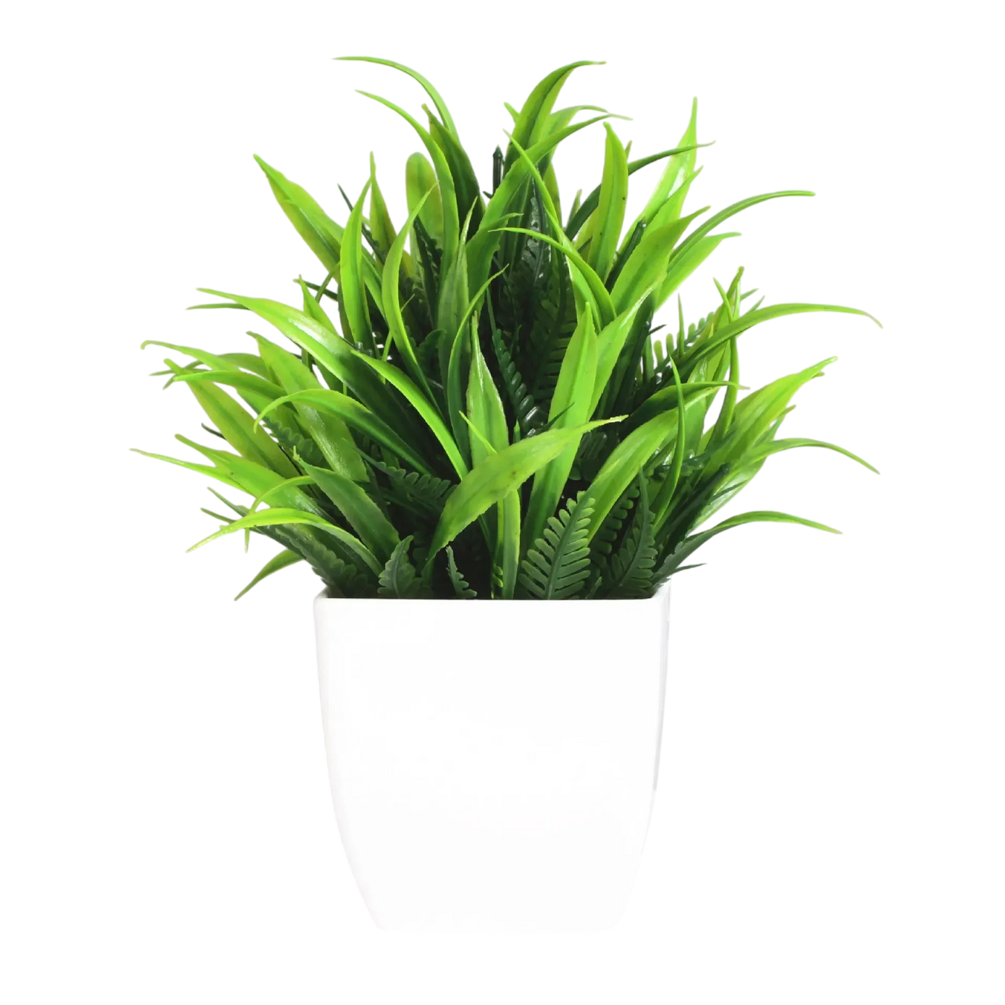 Decorative Plants Smal plant 1 VibeSpace