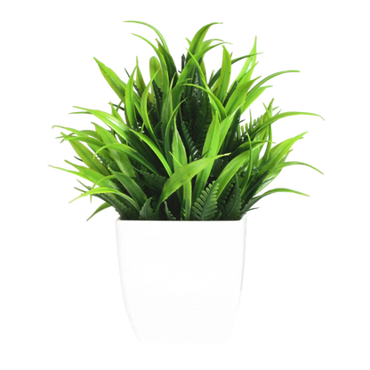 Decorative Plants Smal plant 1 VibeSpace