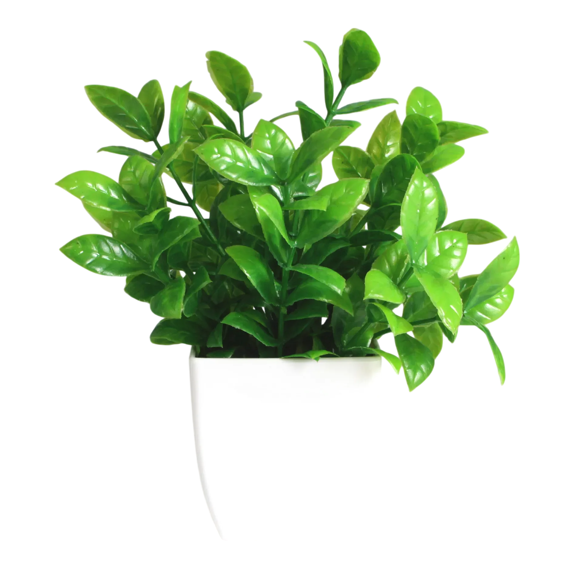 Decorative Plants Smal plant 6 VibeSpace