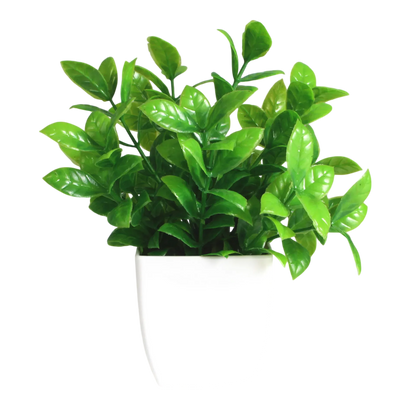 Decorative Plants Smal plant 6 VibeSpace