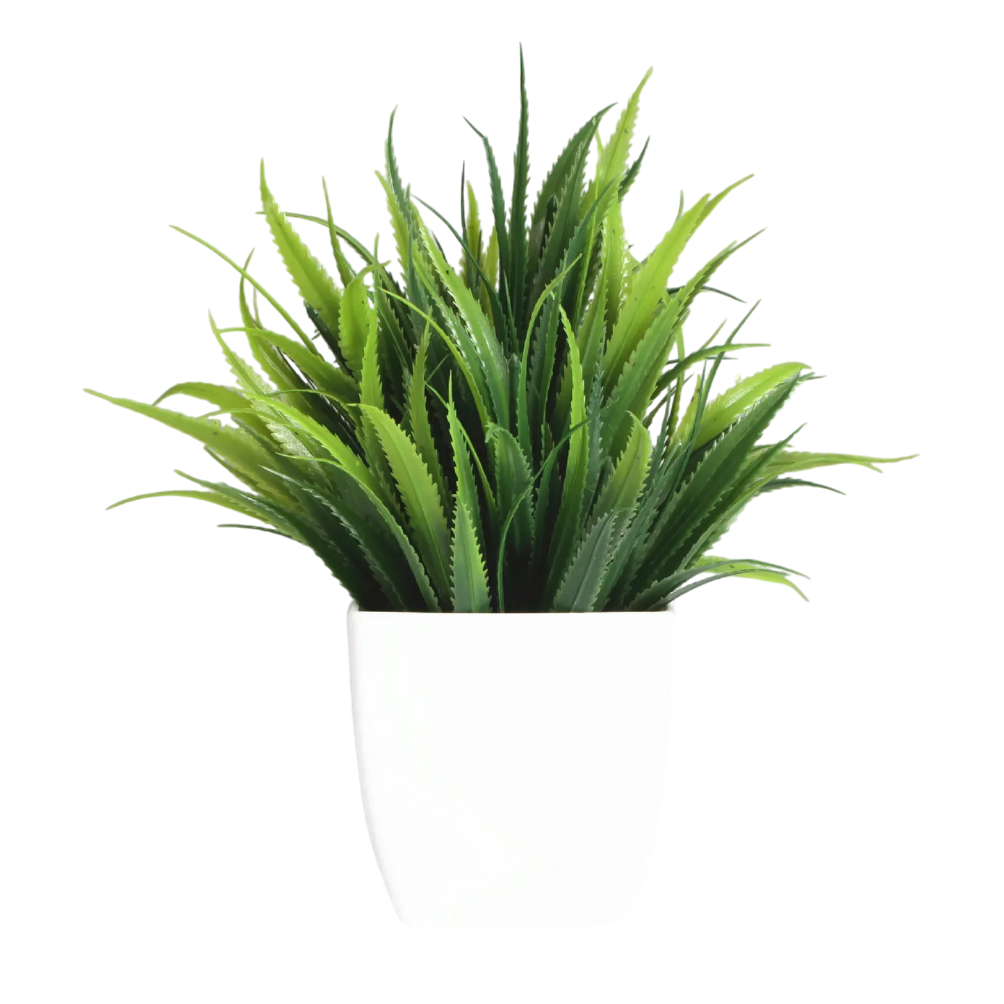 Decorative Plants Smal plant 10 VibeSpace