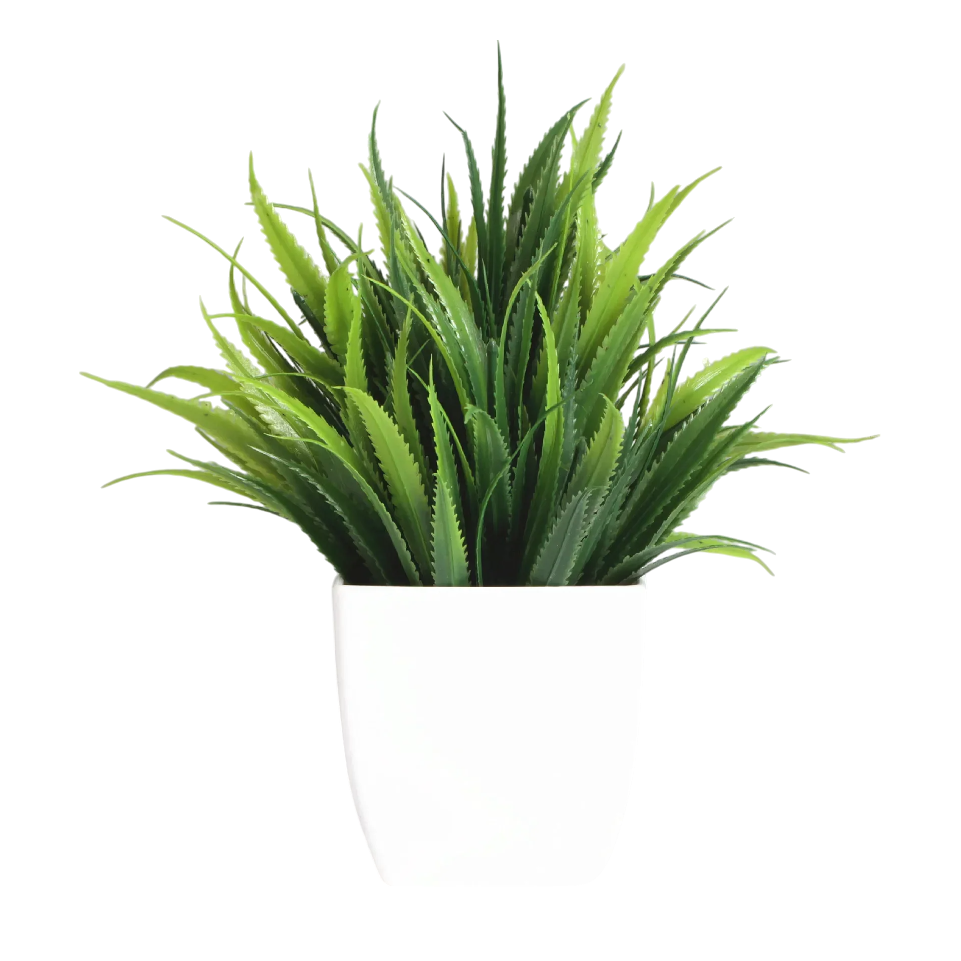 Decorative Plants Smal plant 10 VibeSpace