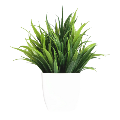Decorative Plants Smal plant 10 VibeSpace