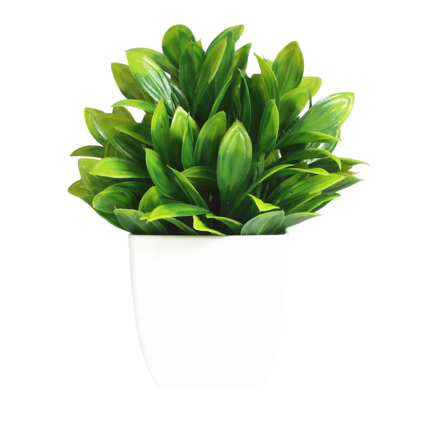 Decorative Plants Smal plant 4 VibeSpace