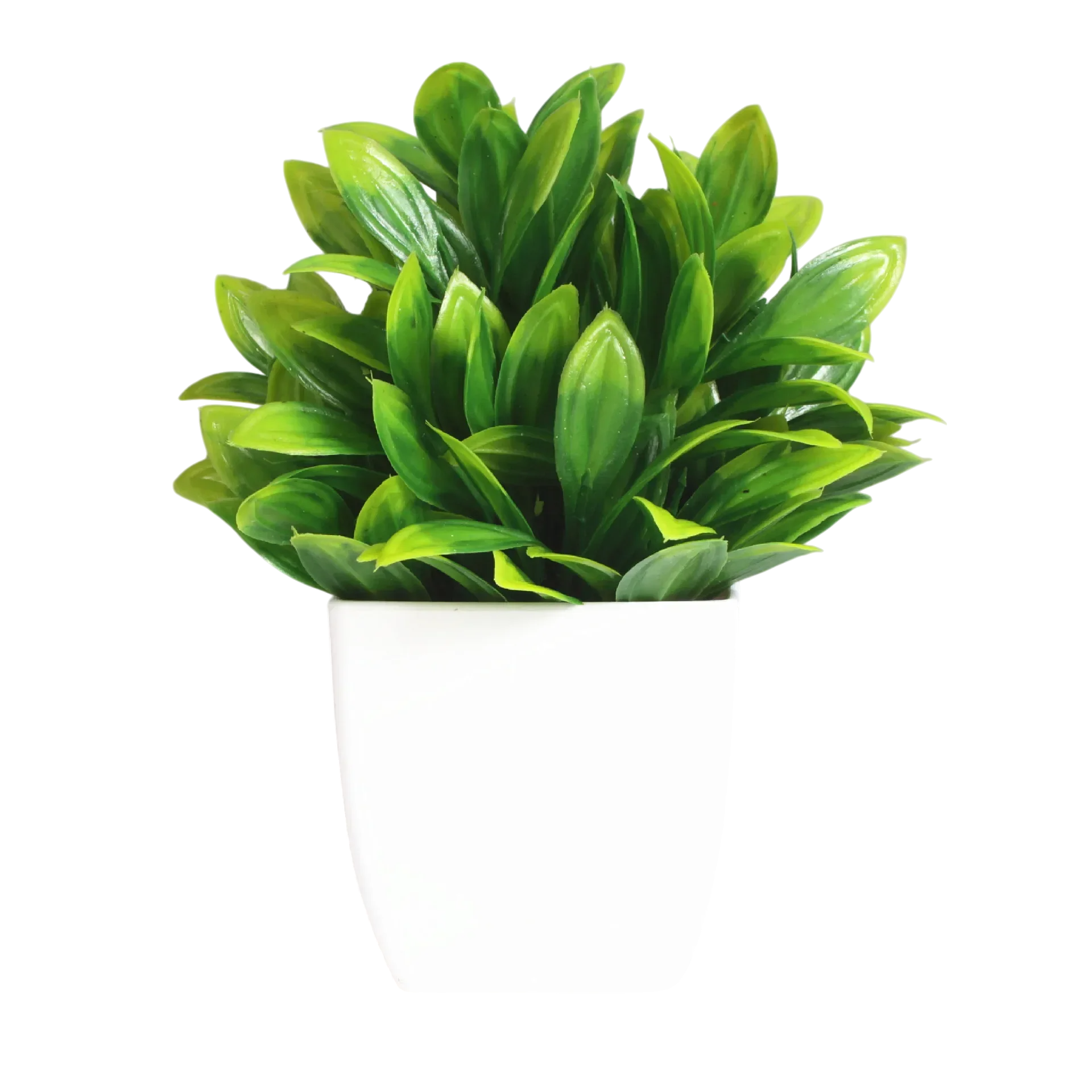 Decorative Plants Smal plant 4 VibeSpace