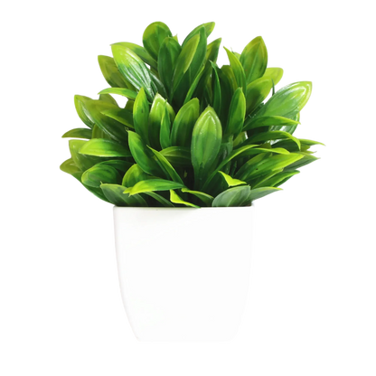 Decorative Plants Smal plant 4 VibeSpace