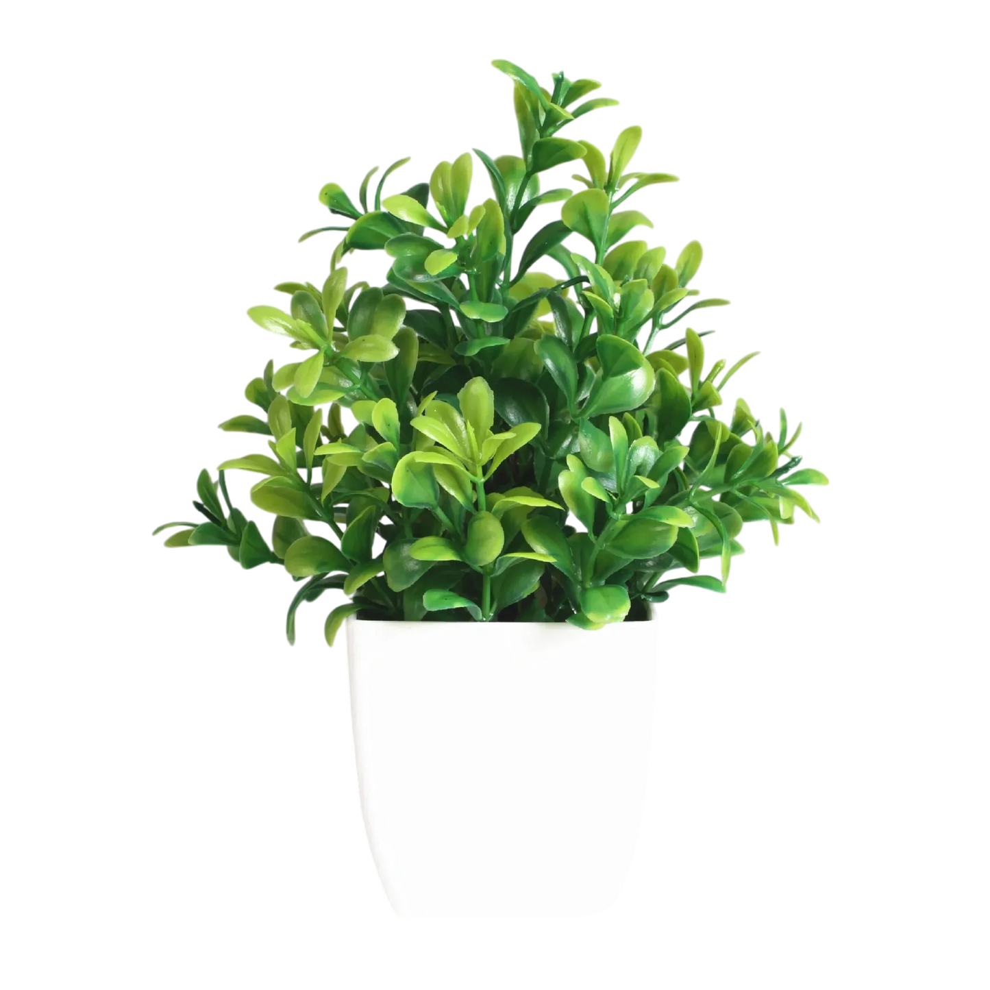 Decorative Plants Smal plant 5 VibeSpace