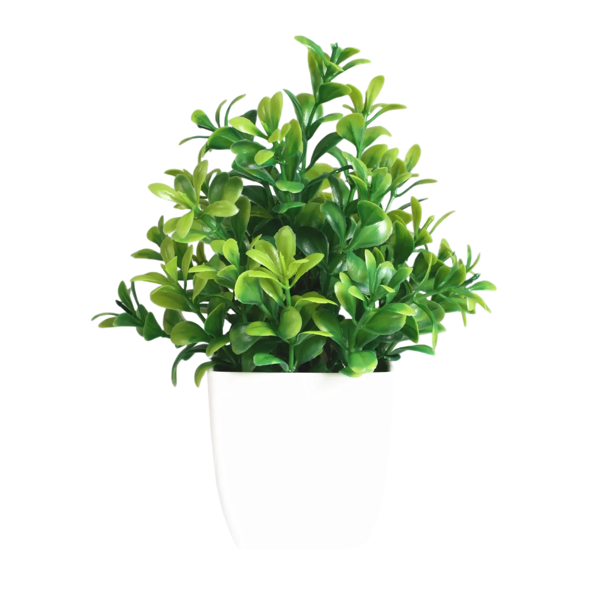 Decorative Plants Smal plant 5 VibeSpace
