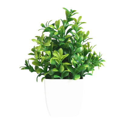 Decorative Plants Smal plant 5 VibeSpace