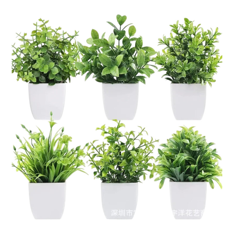 Decorative Plants VibeSpace