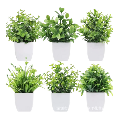 Decorative Plants VibeSpace