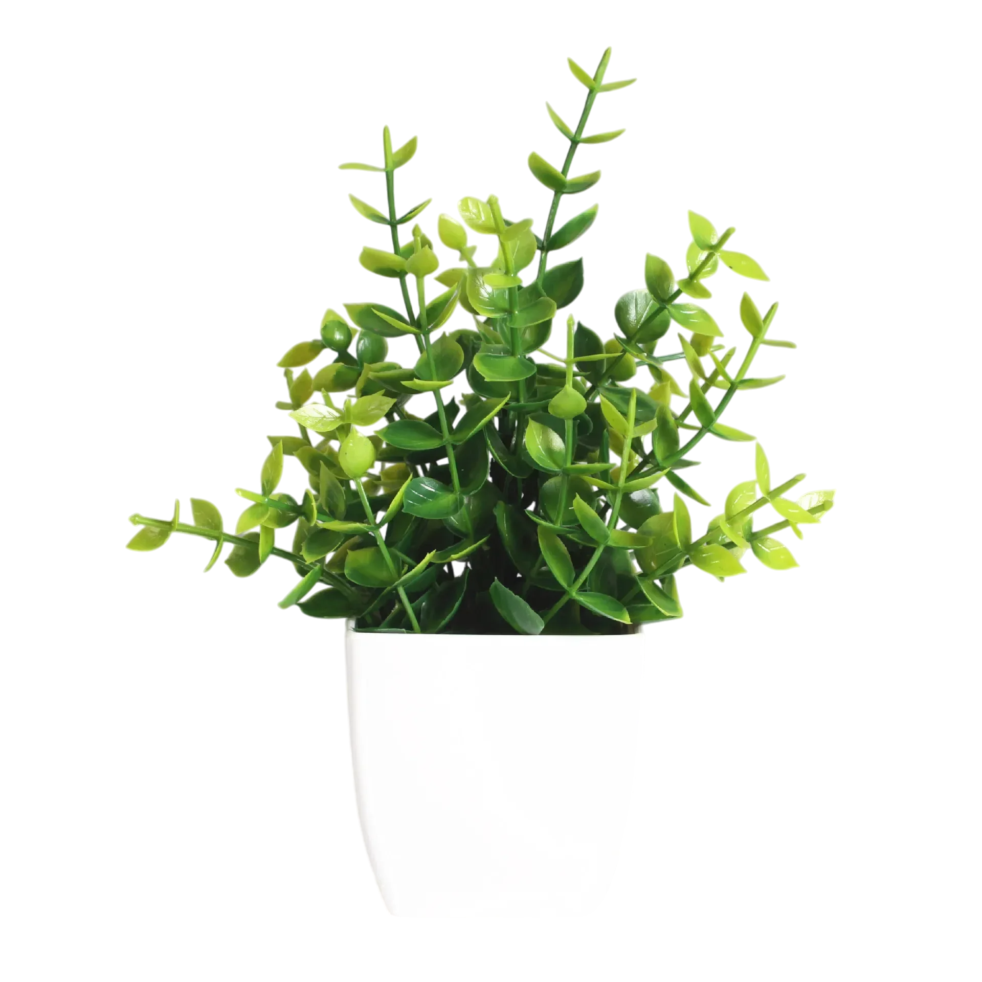 Decorative Plants Smal plant 3 VibeSpace