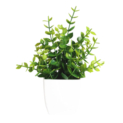 Decorative Plants Smal plant 3 VibeSpace
